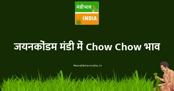 Chow Chow भाव